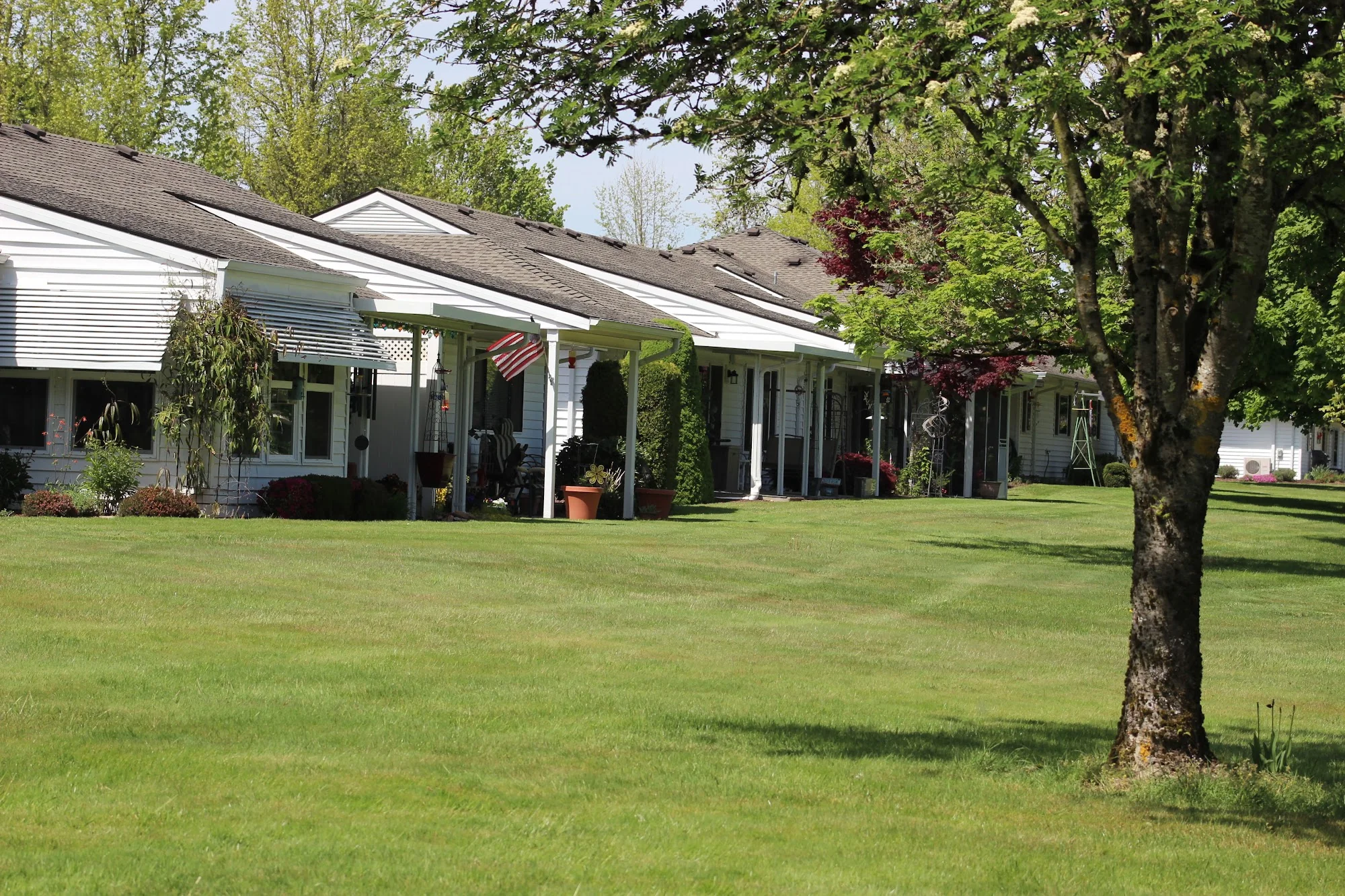 MENNONITE HOME