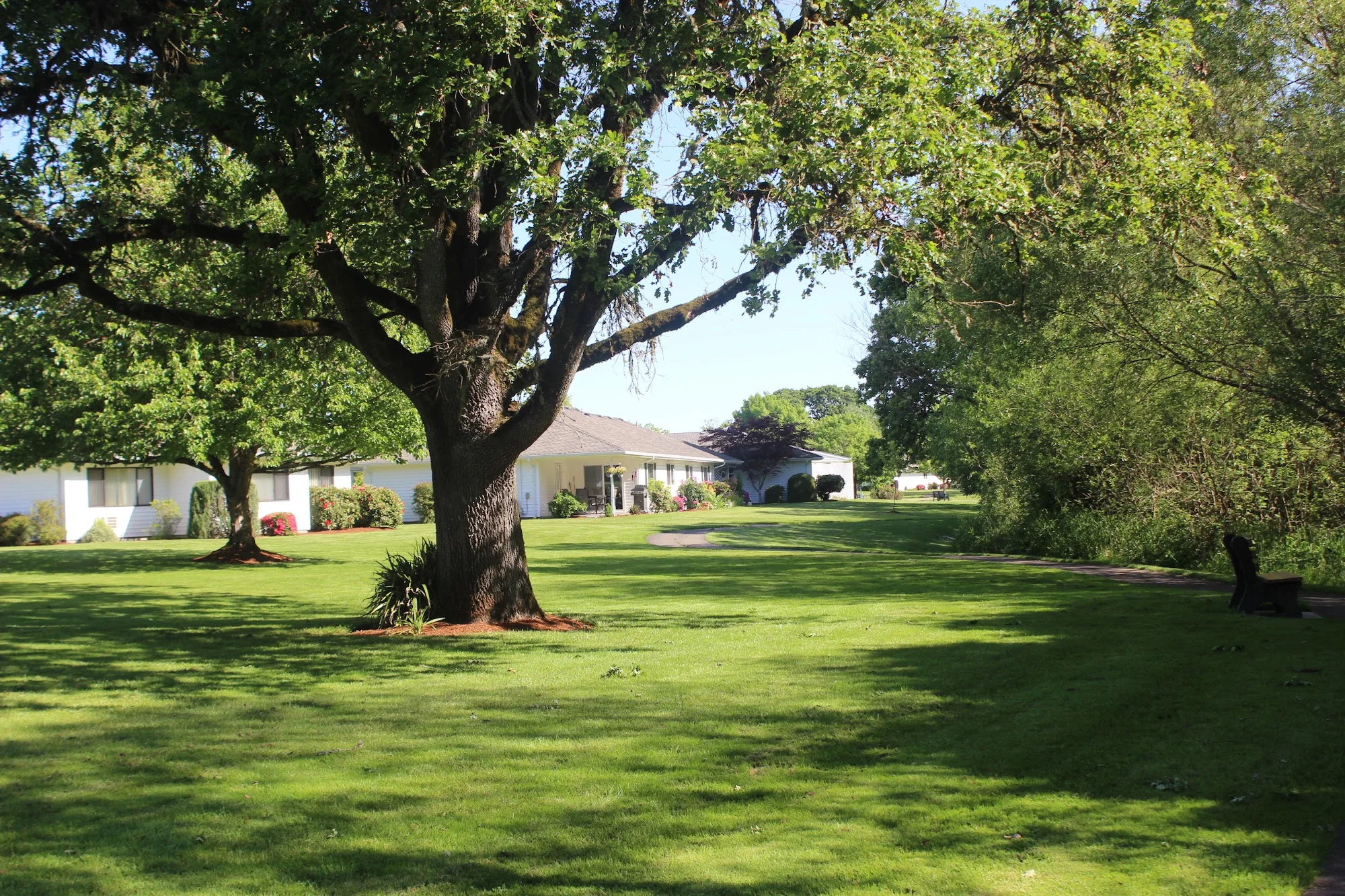 MENNONITE HOME