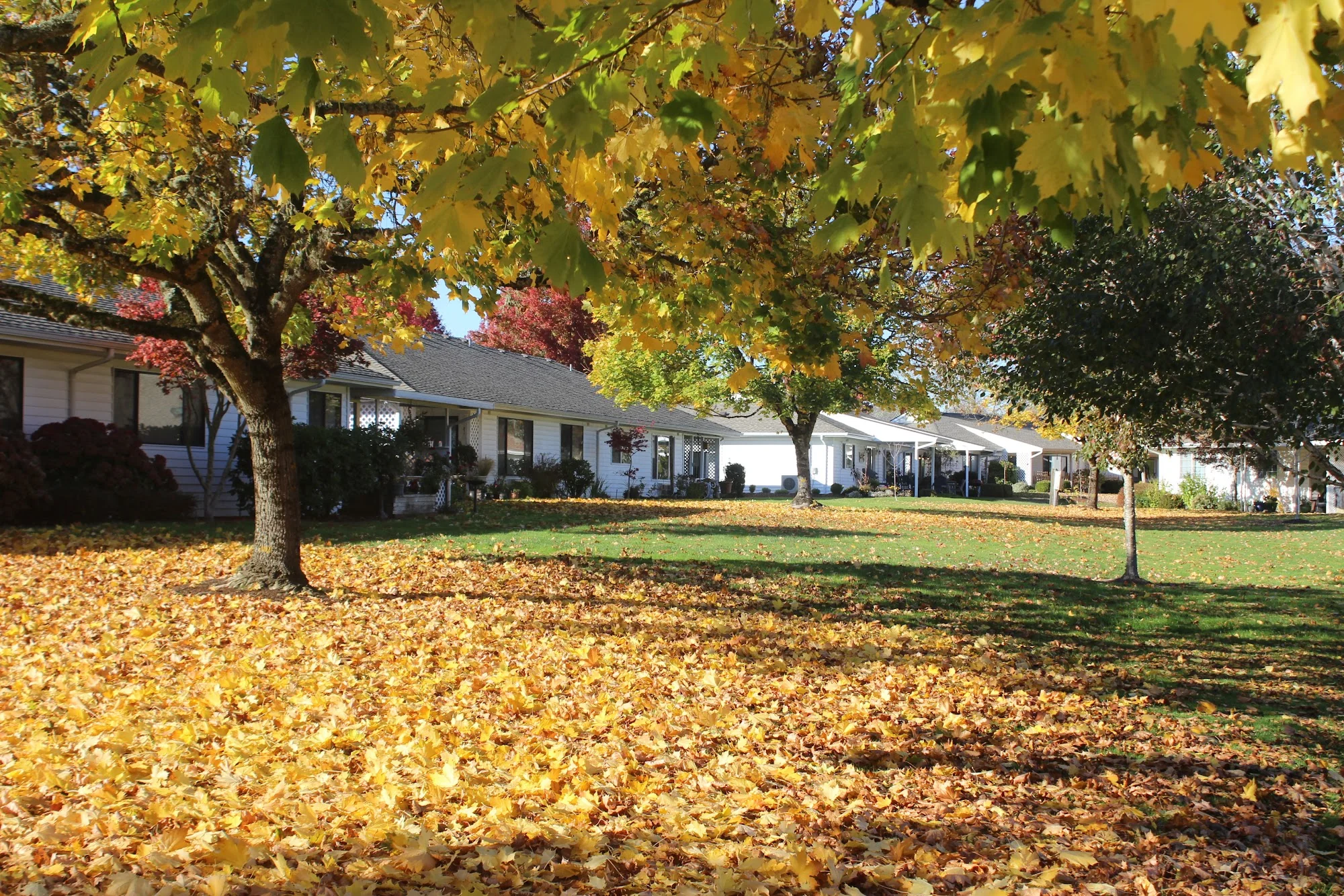 MENNONITE HOME