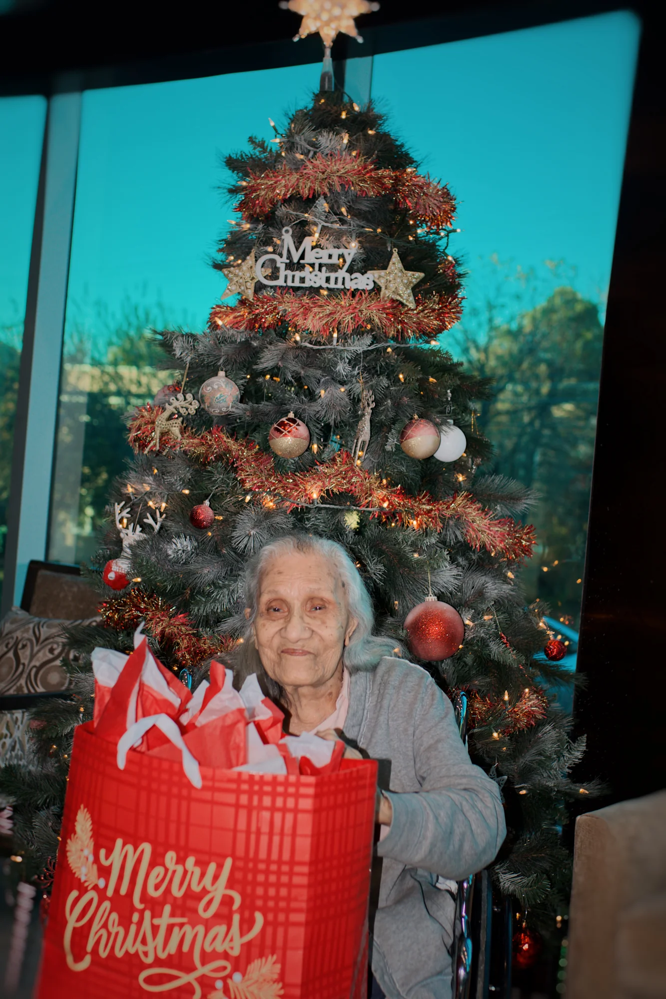 MERIDIAN CARE MONTE VISTA