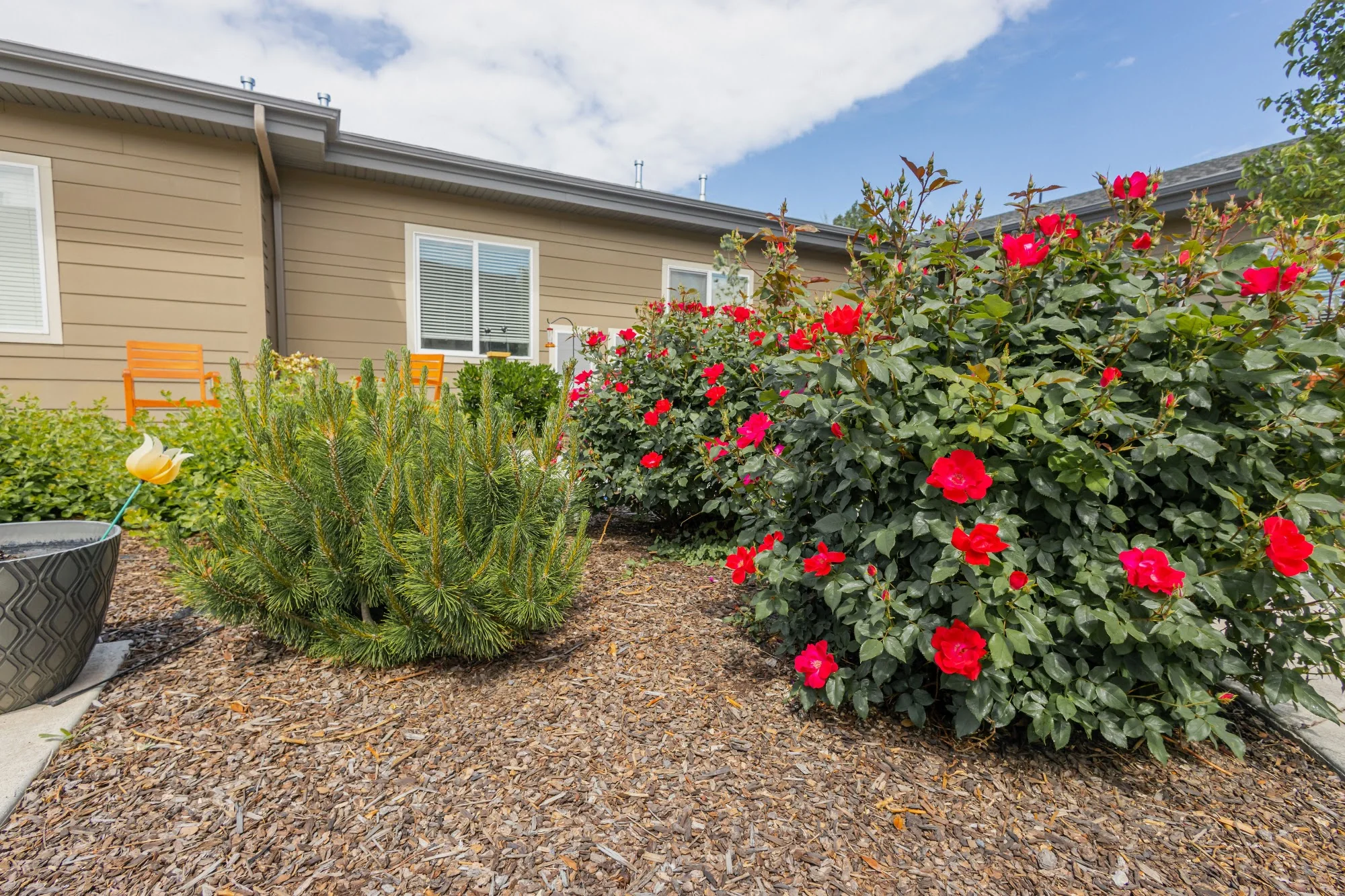 MERIDIAN MEADOWS TRANSITIONAL CARE