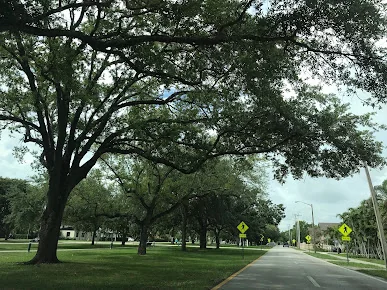 MIAMI SPRINGS NURSING AND REHABILITATION CENTER