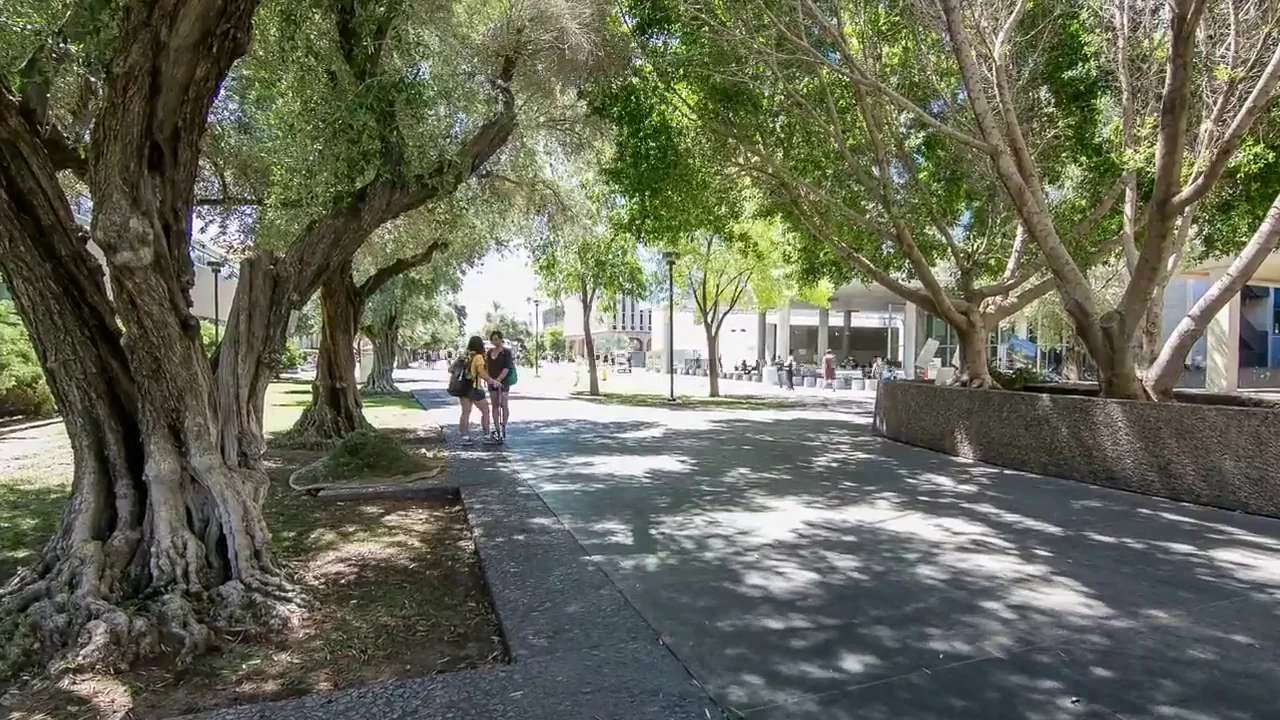 MIRABELLA AT ASU
