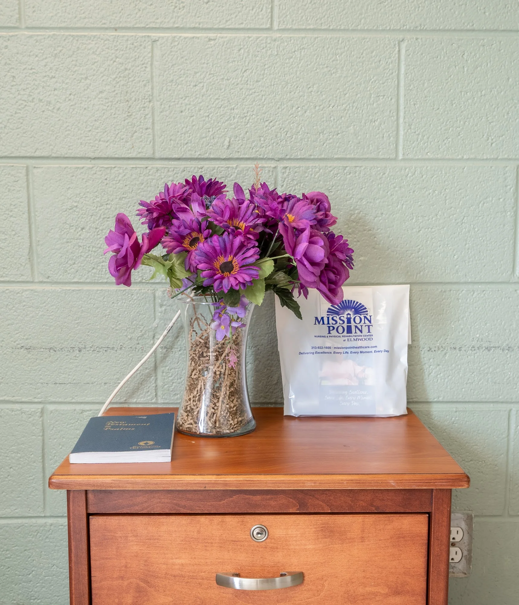 MISSION POINT NURSING & PHYSICAL REHABILITATION CENTER OF ELMWOOD