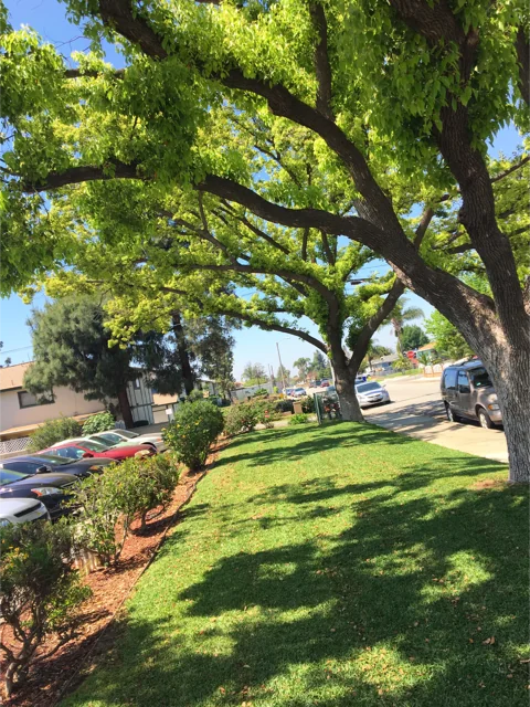 MONTCLAIR MANOR CARE CENTER