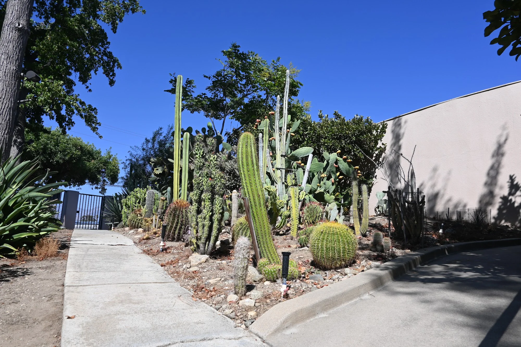 MOUNT SAN ANTONIO GARDENS