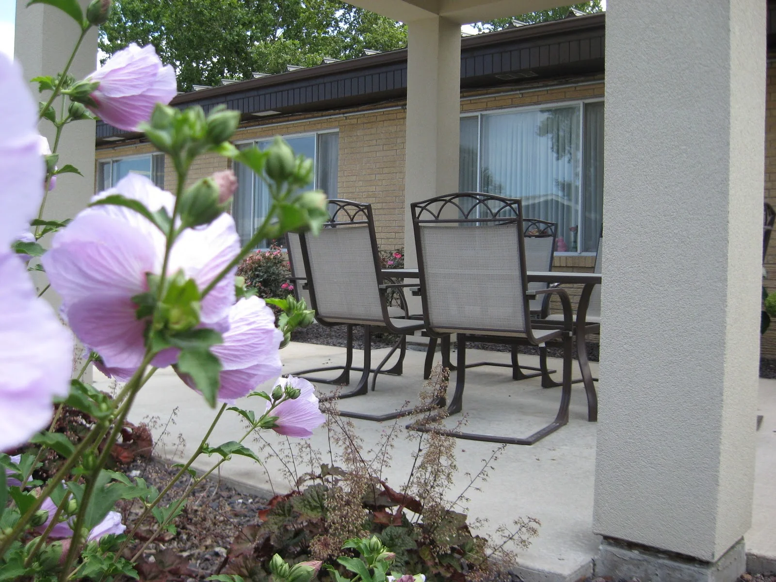 MOUNT STERLING HEALTH AND REHAB CENTER
