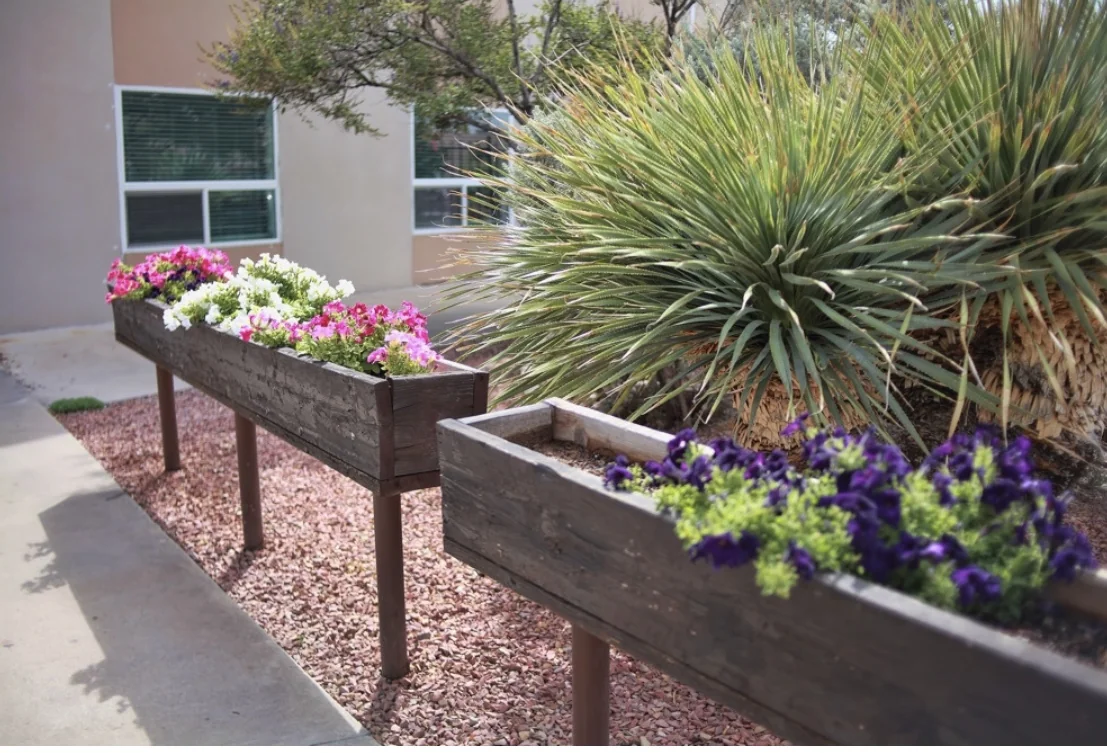 MOUNTAIN VIEW HEALTH & REHABILITATION