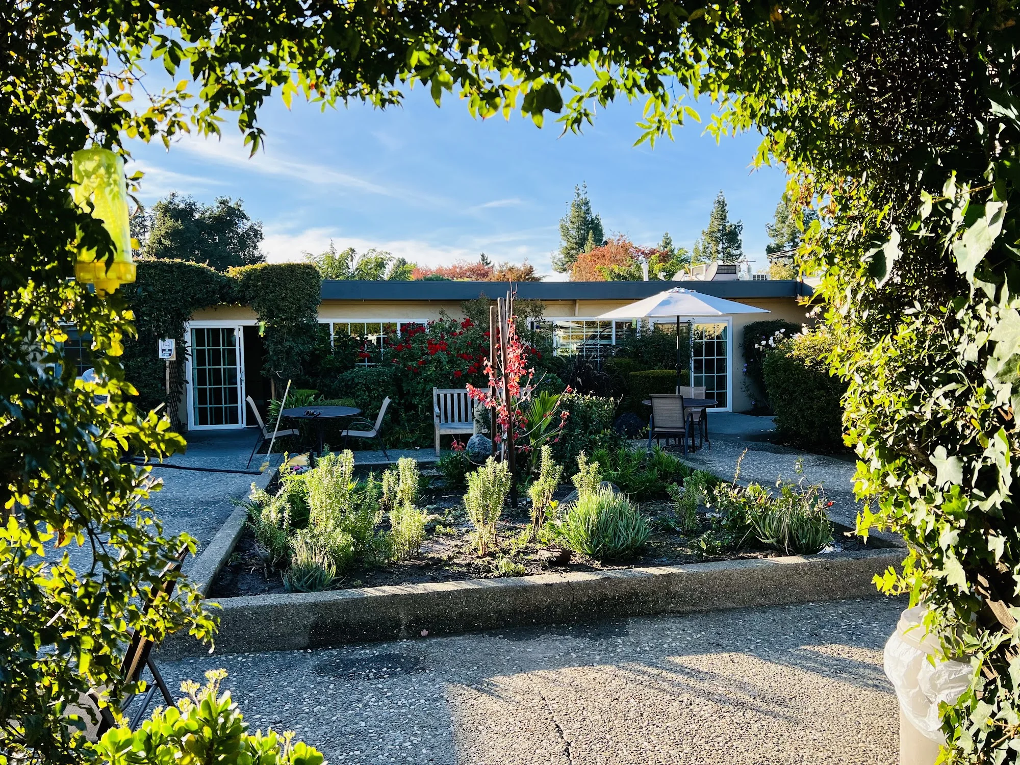 MOUNTAIN VIEW HEALTHCARE CENTER
