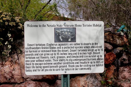 NEVADA STATE VETERANS HOME - BOULDER CITY