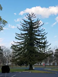 NEW JERSEY VETERANS MEMORIAL VINELAND
