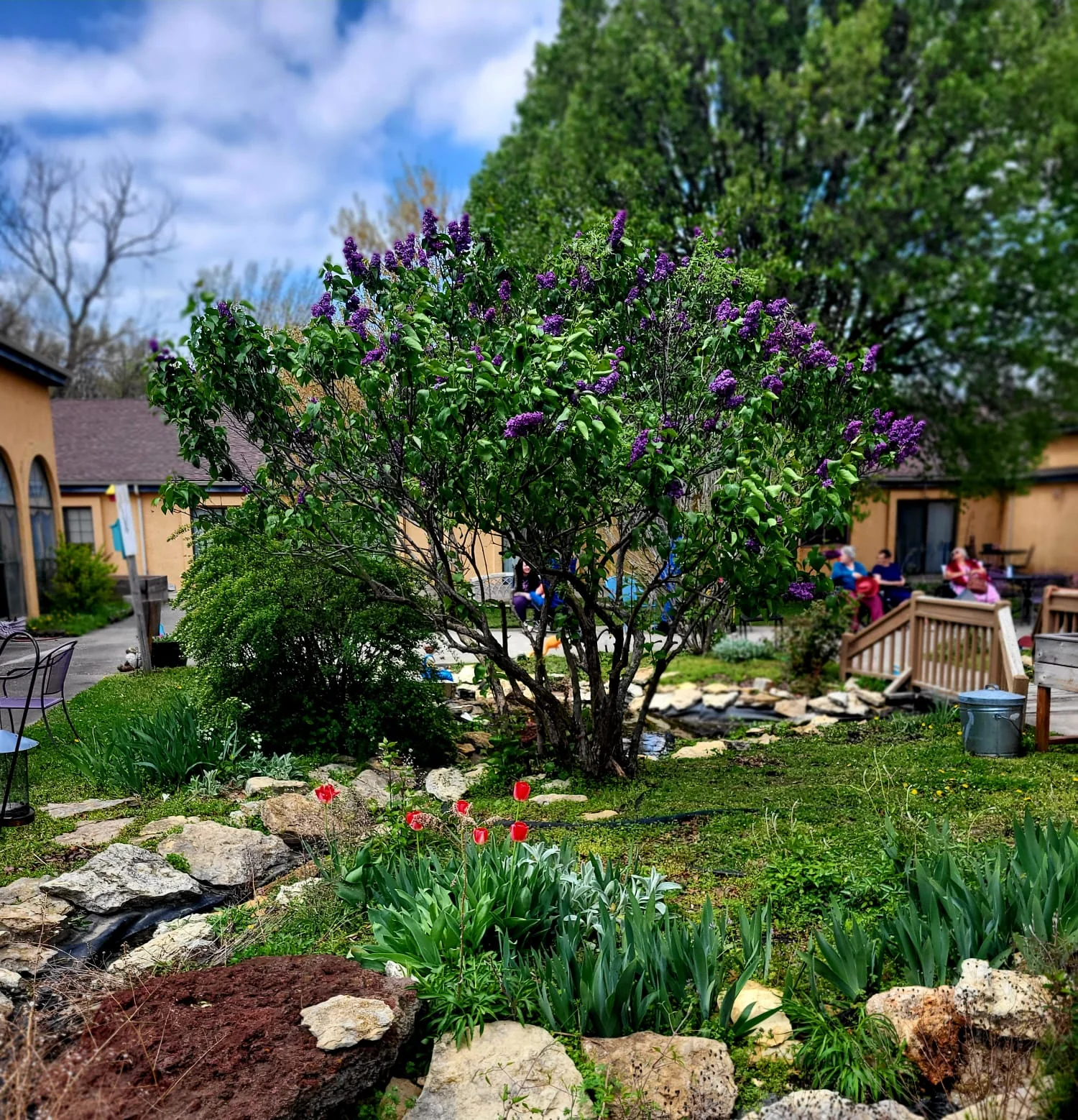 NEW MARK REHAB AND HEALTHCARE CENTER
