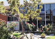 NEW VISTA POST-ACUTE CARE CENTER