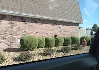 NHC HEALTHCARE, JOPLIN