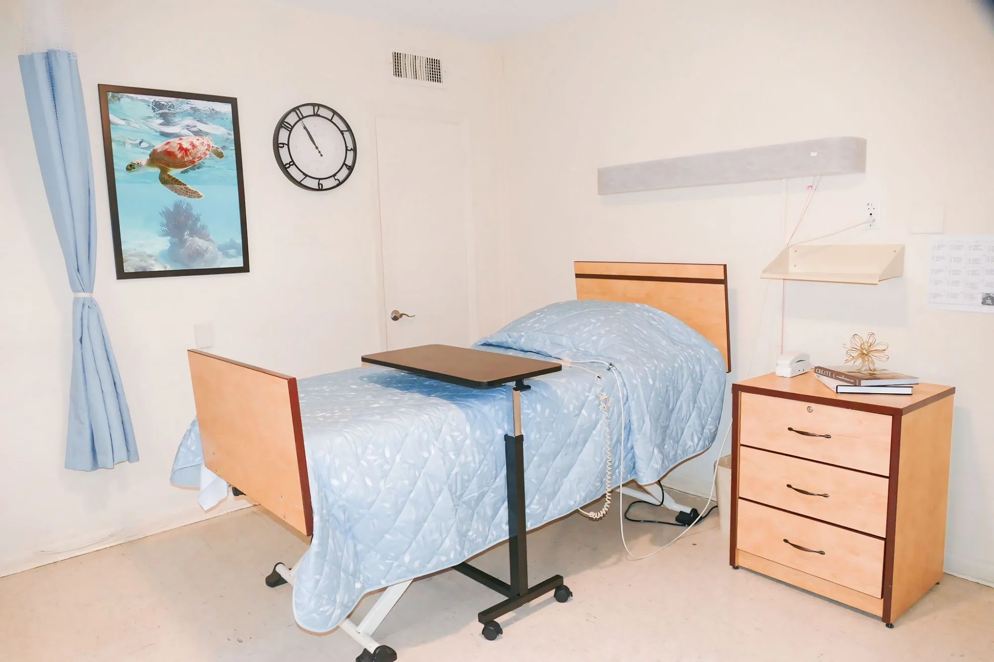 NORTH LAKE CARE CENTER AND REHAB