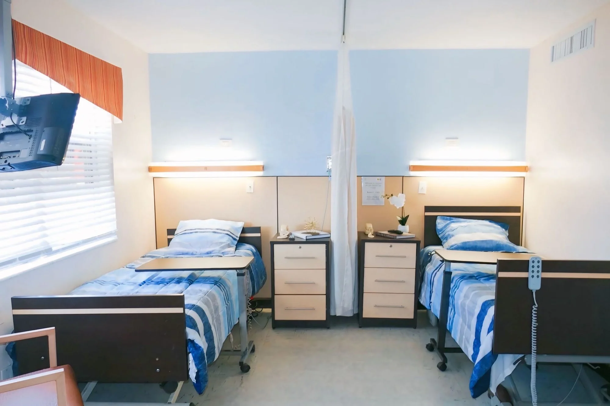 NORTH LAKE CARE CENTER AND REHAB