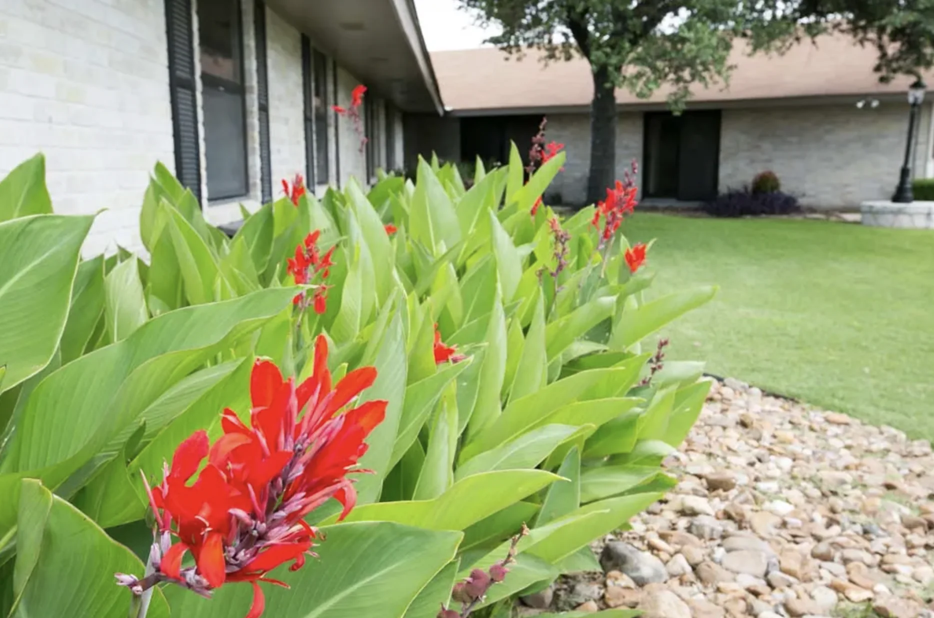 NORTHEAST REHABILITATION AND HEALTHCARE CENTER