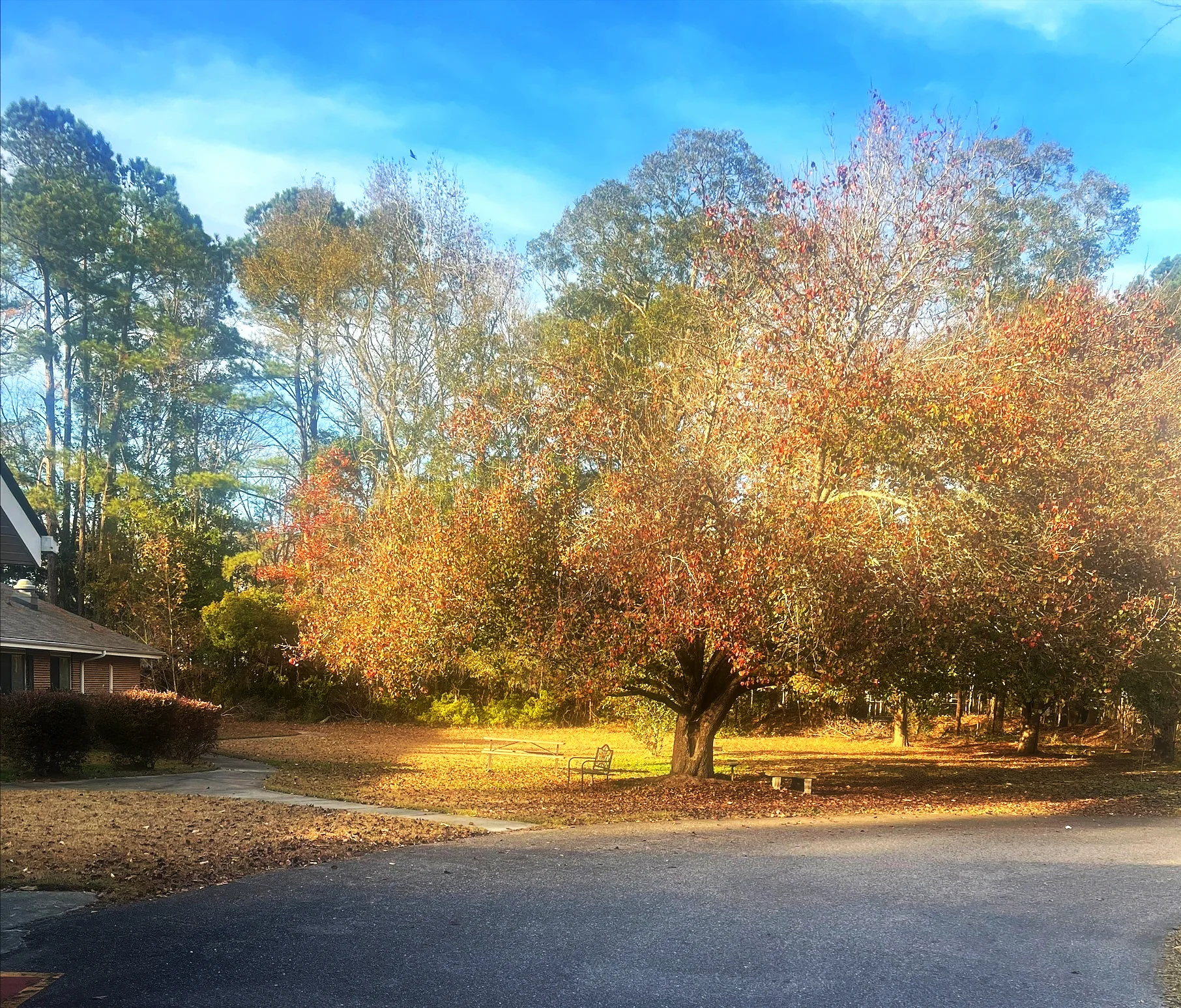 OAKBROOK HEALTH AND REHABILITATION CENTER