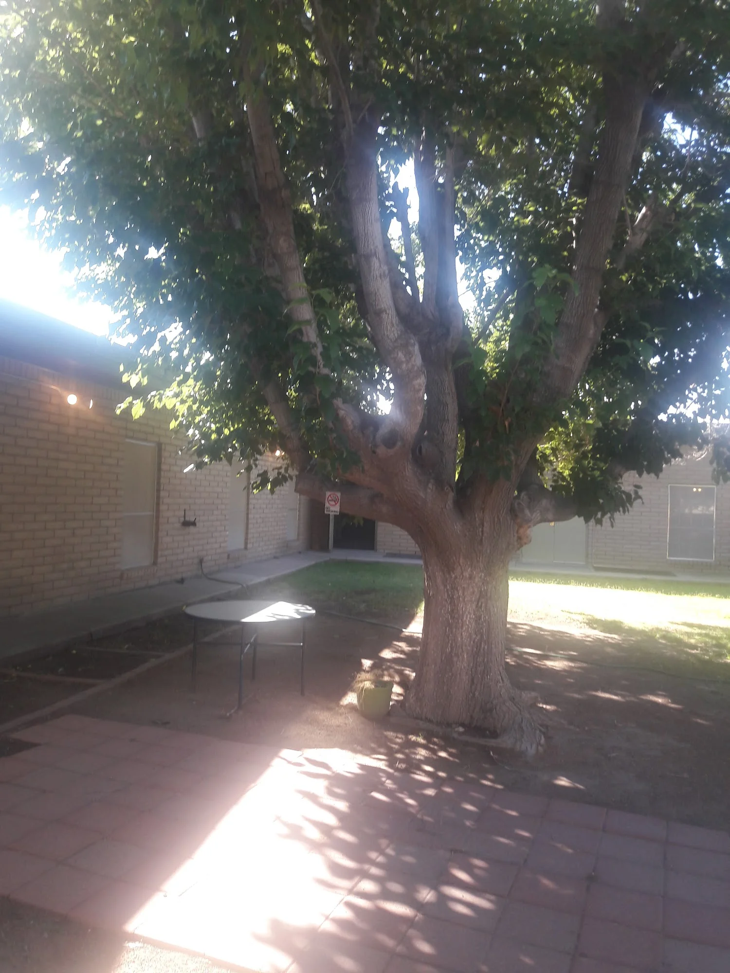 OASIS NURSING & REHABILITATION CENTER