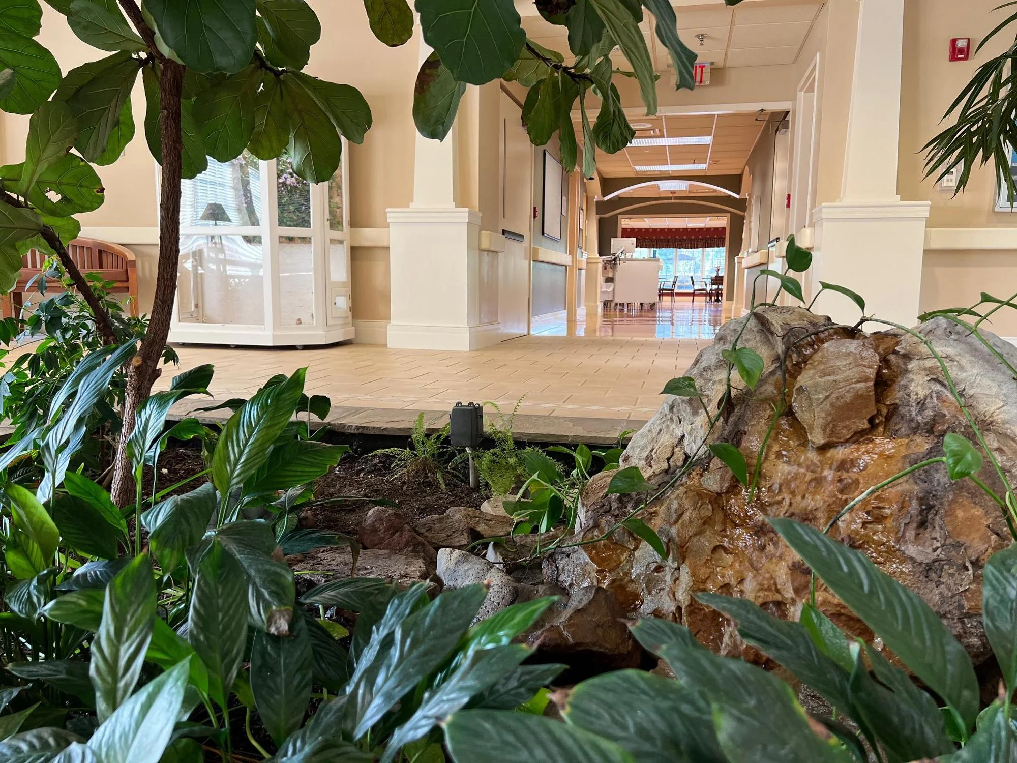 OCOEE TRANSITIONAL CARE CENTER LLC