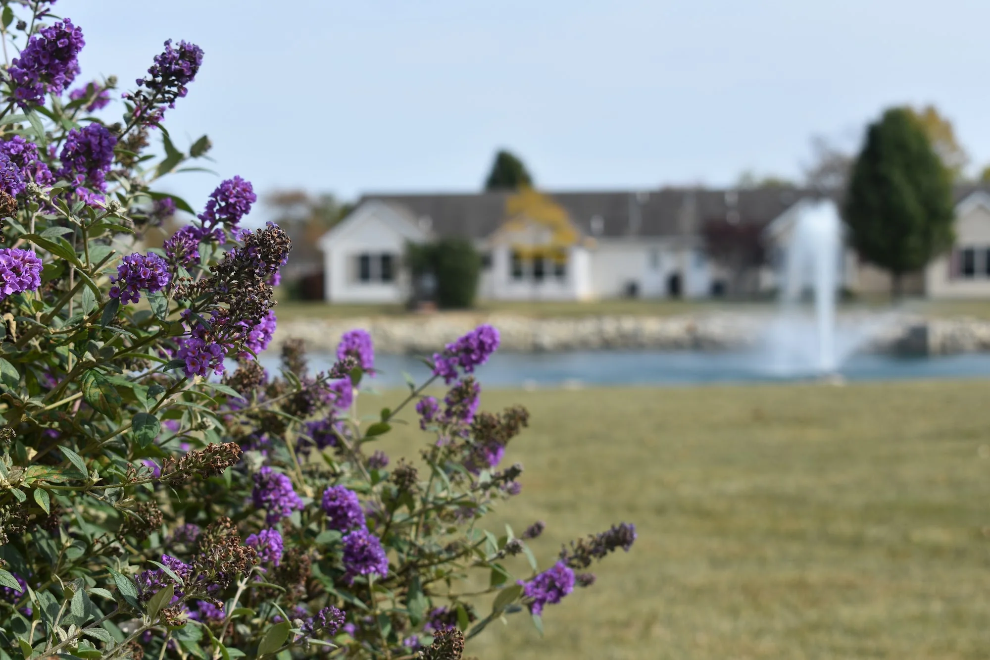 OHIO LIVING CAPE MAY
