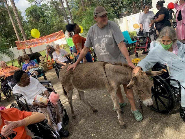 ORANGE CITY NURSING AND REHAB CENTER