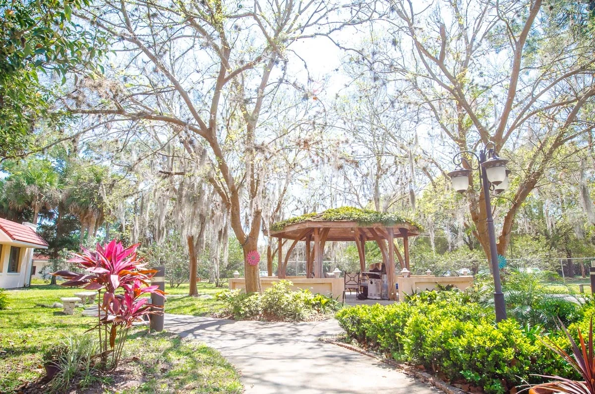 ORMOND REHABILITATION AND NURSING CENTER