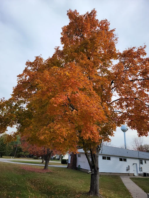 OZARKS METHODIST MANOR, THE