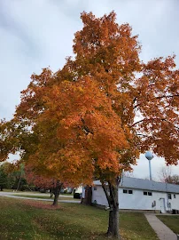 OZARKS METHODIST MANOR, THE