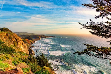 PACIFIC COAST MANOR