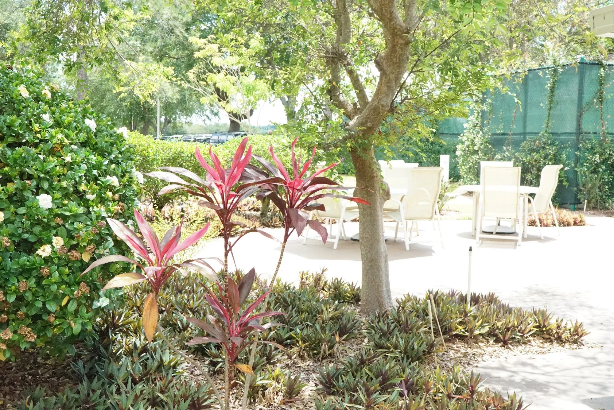 PALM GARDEN OF WINTER HAVEN