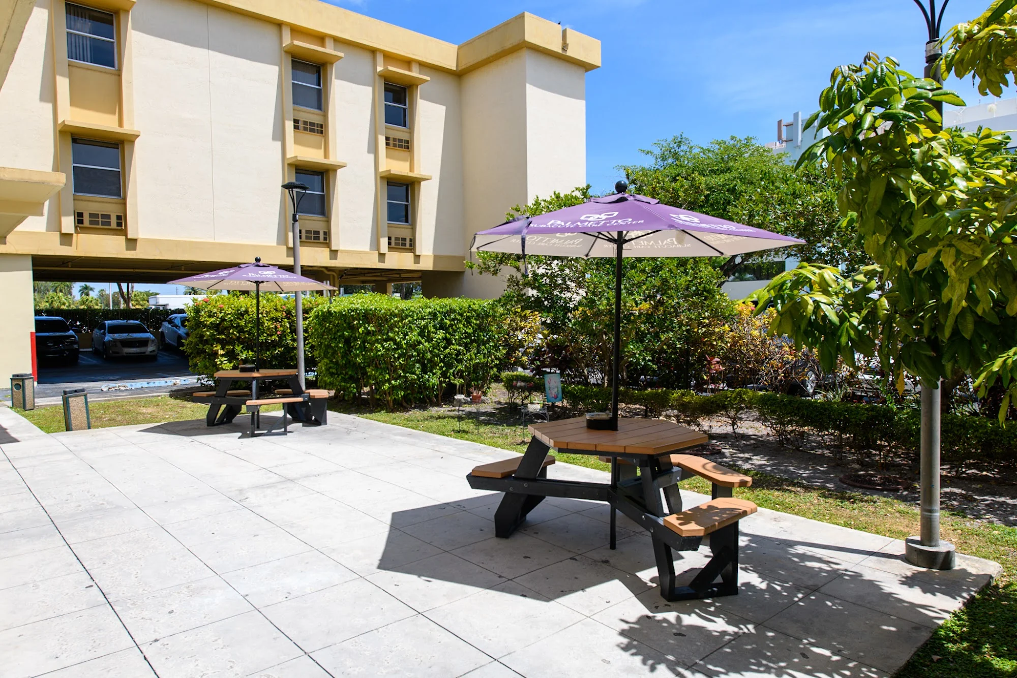 PALMETTO SUBACUTE CARE CENTER