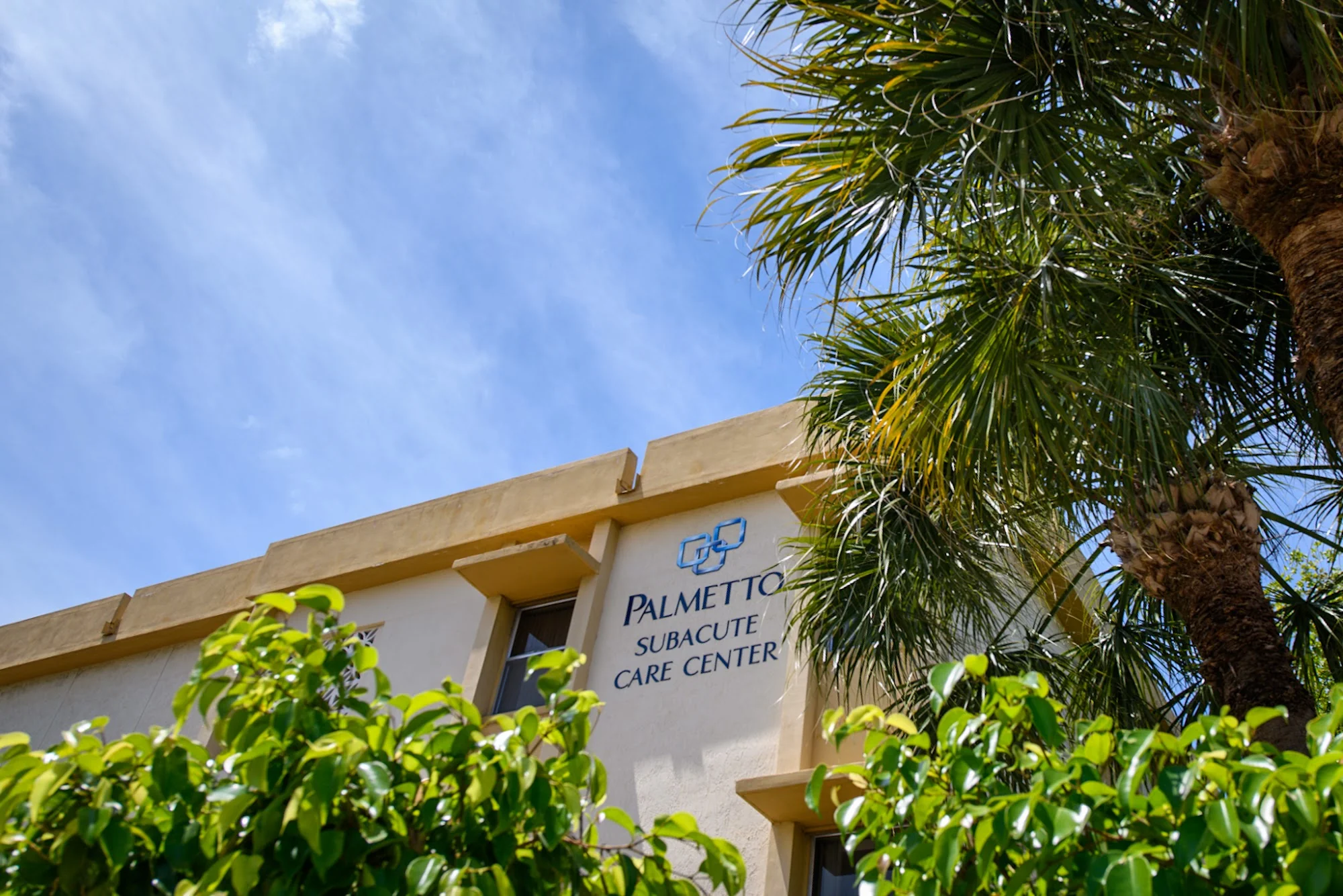 PALMETTO SUBACUTE CARE CENTER