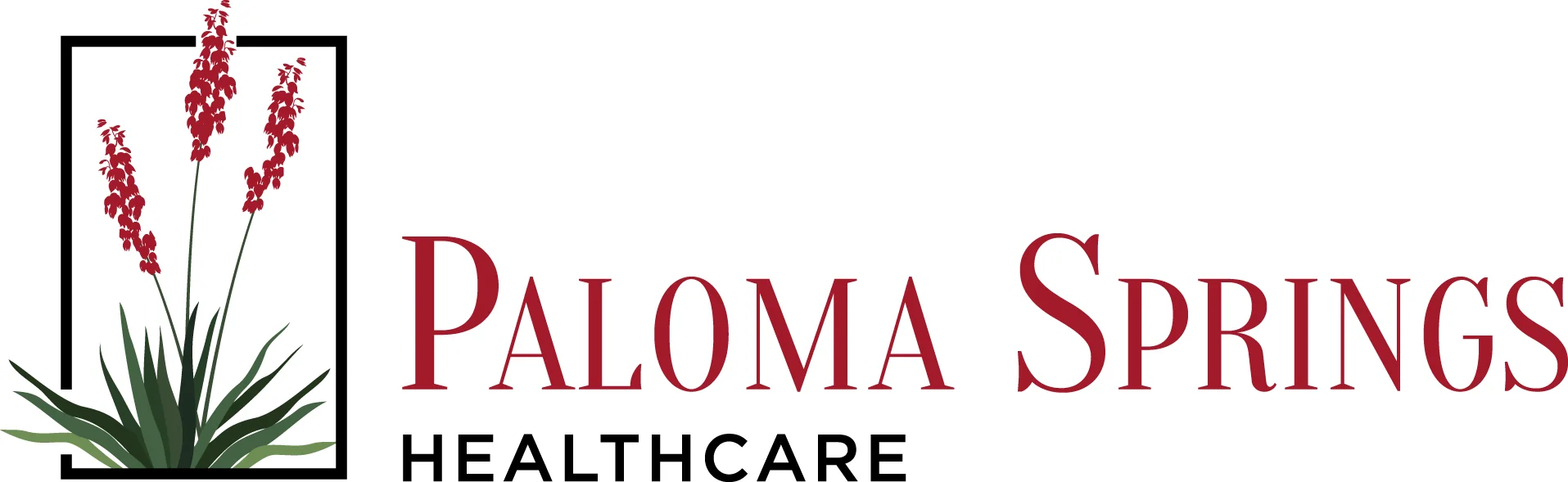 PALOMA SPRINGS HEALTHCARE LLC