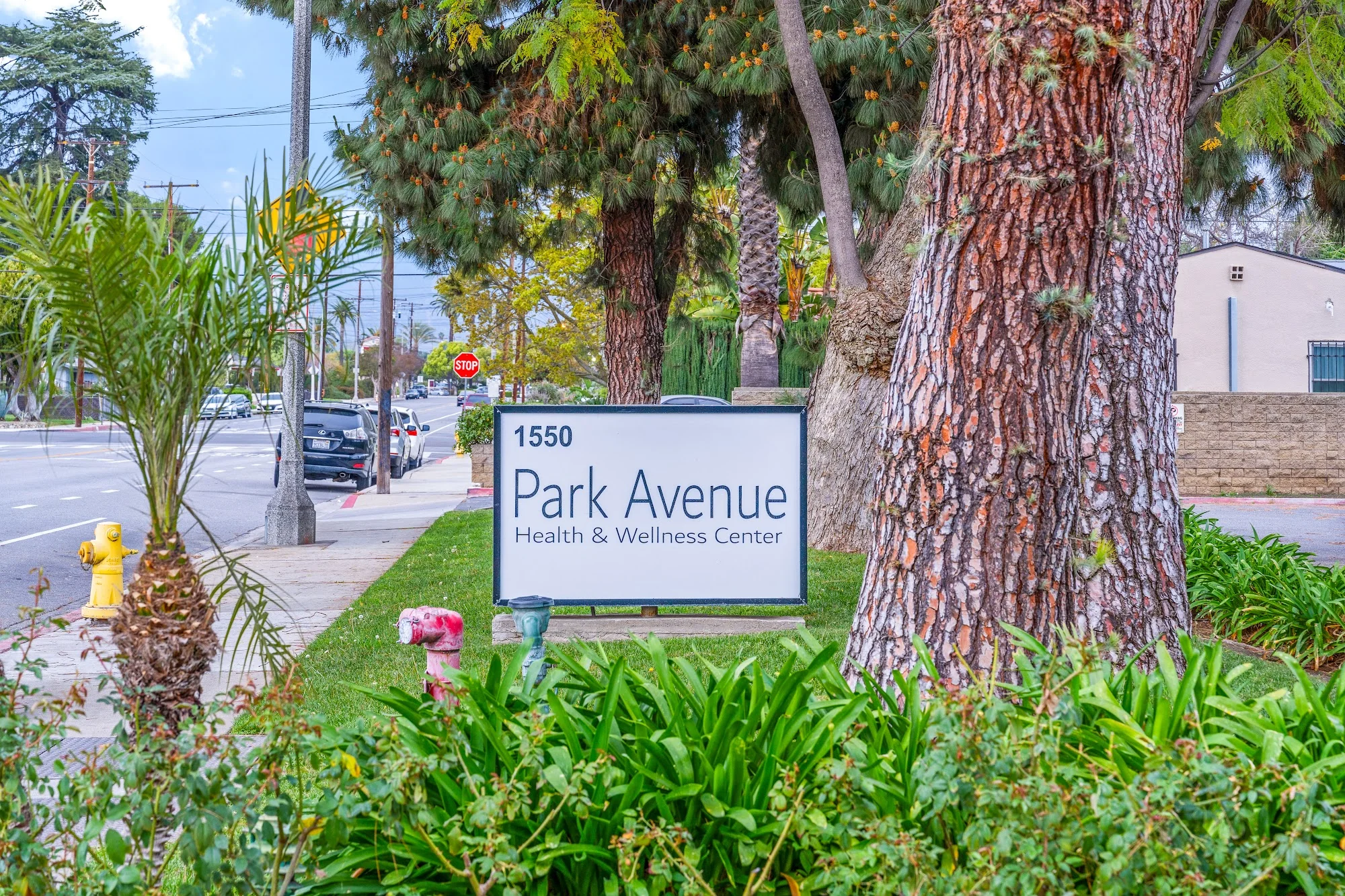 PARK AVENUE HEALTHCARE & WELLNESS CENTER