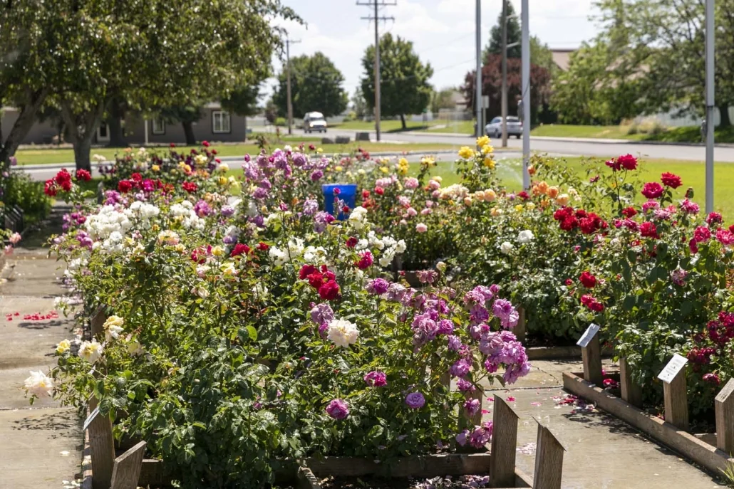 PARKE VIEW REHABILITATION & CARE CENTER