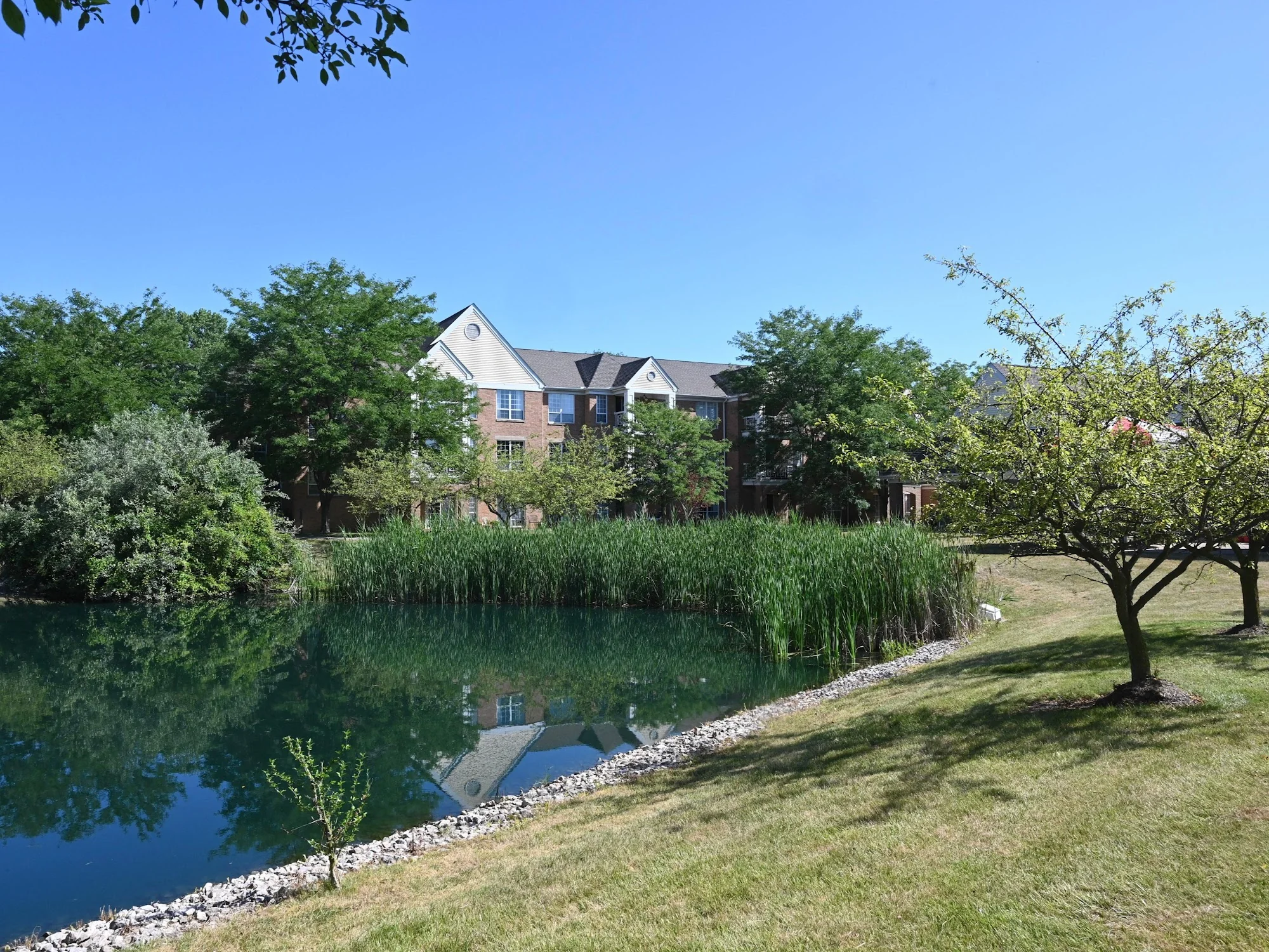 PARKVUE HEALTH CARE CENTER