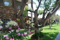 PASADENA PALACE TCU