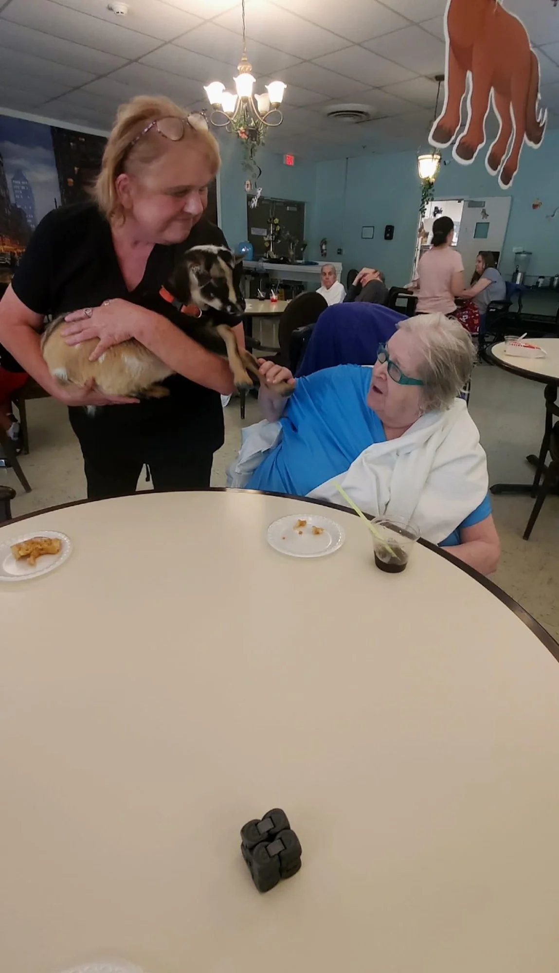 PEARLVIEW REHAB & WELLNESS CTR