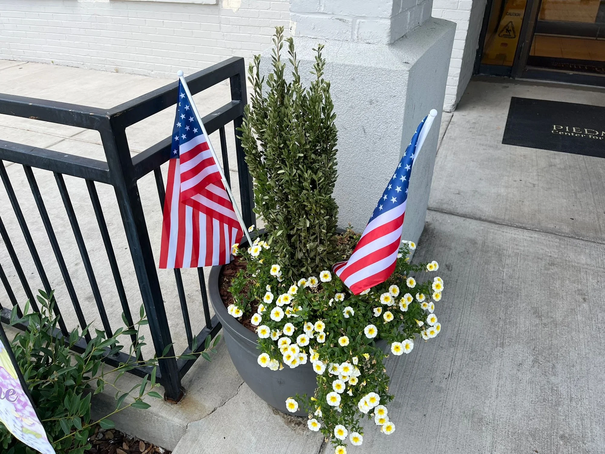 PIEDMONT HILLS CENTER FOR NURSING AND REHAB