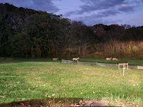 PIERCE MEMORIAL BAPTIST HOME, INC.