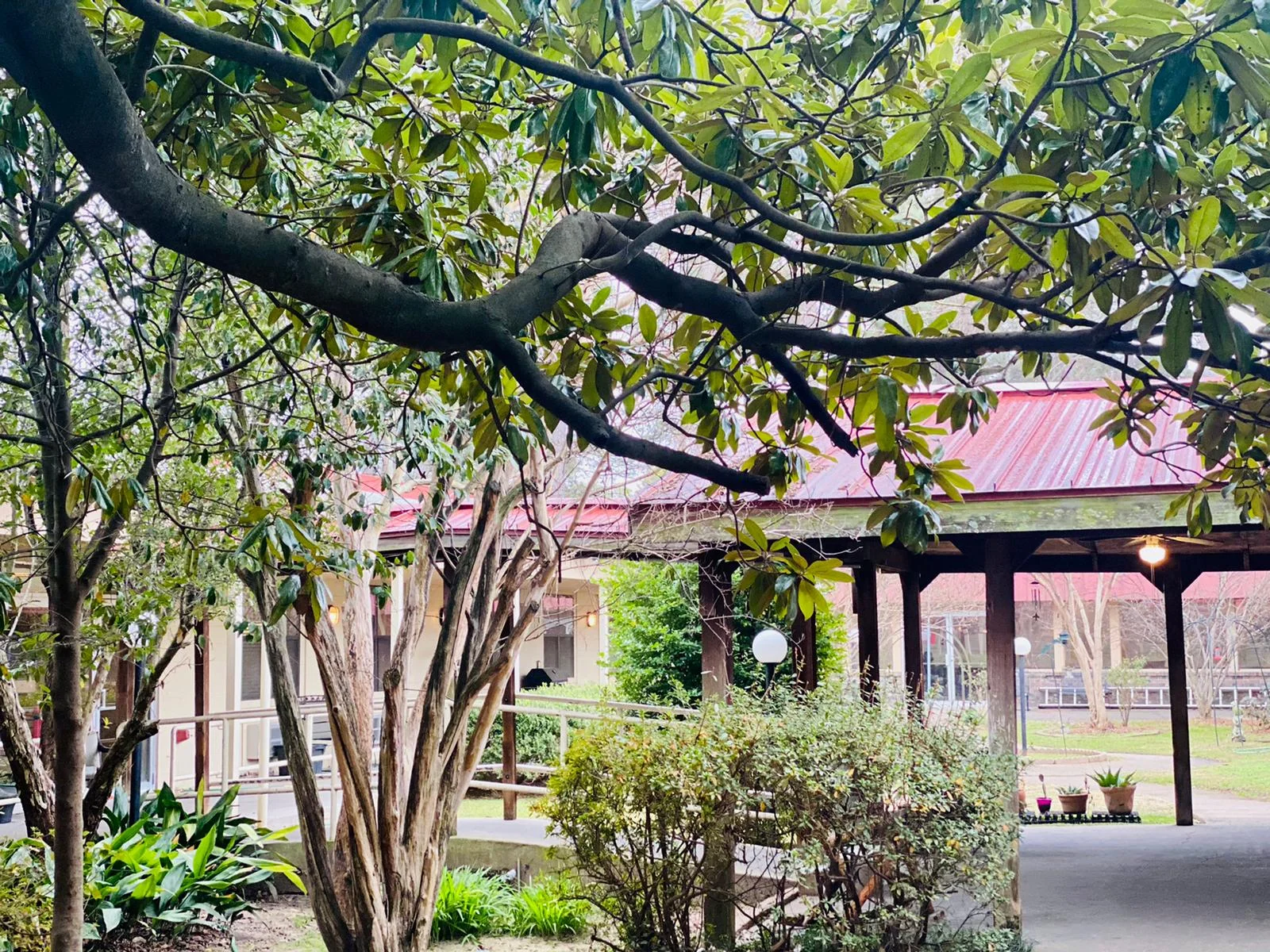 PIERREMONT HEALTHCARE CENTER