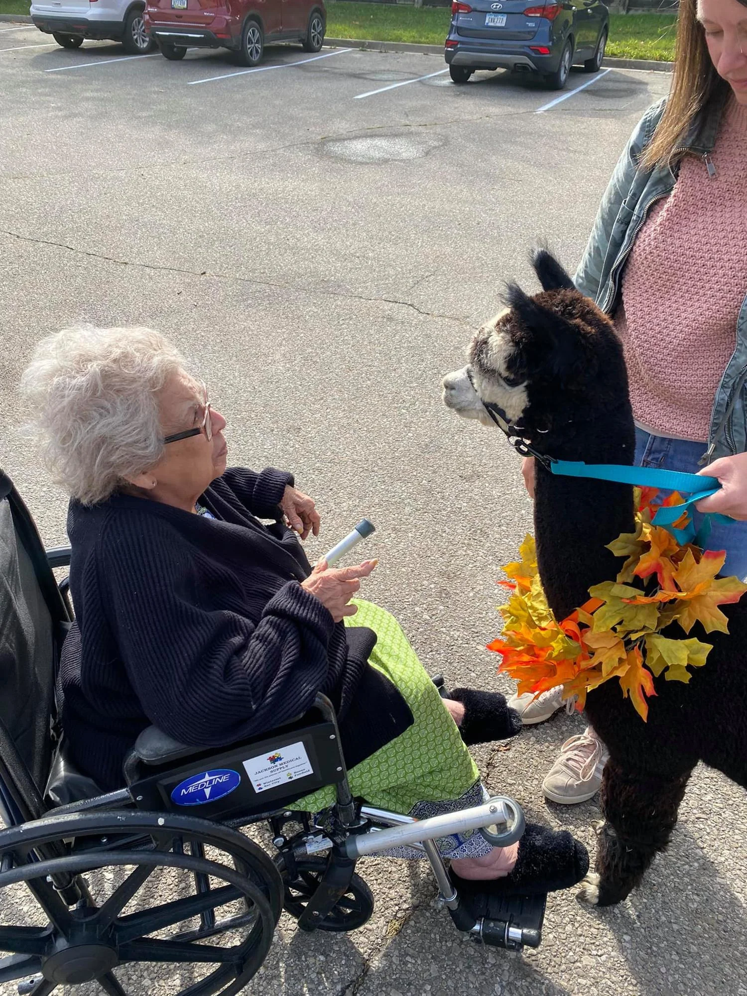 PINE ACRES REHABILITATION AND CARE CENTER