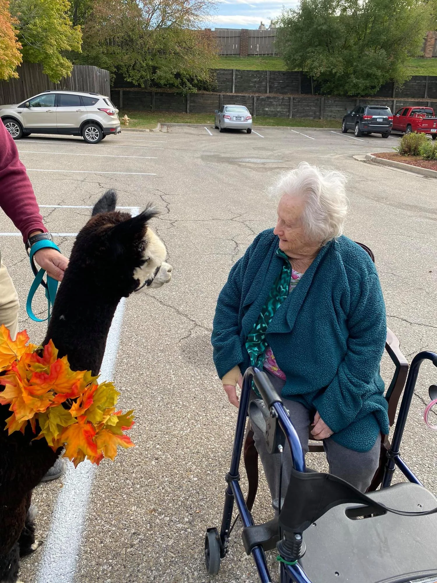 PINE ACRES REHABILITATION AND CARE CENTER