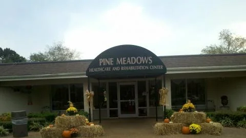 PINE MEADOWS HEALTH CARE