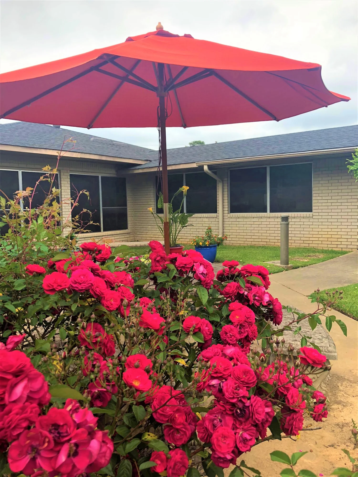 PINE TREE LODGE NURSING CENTER