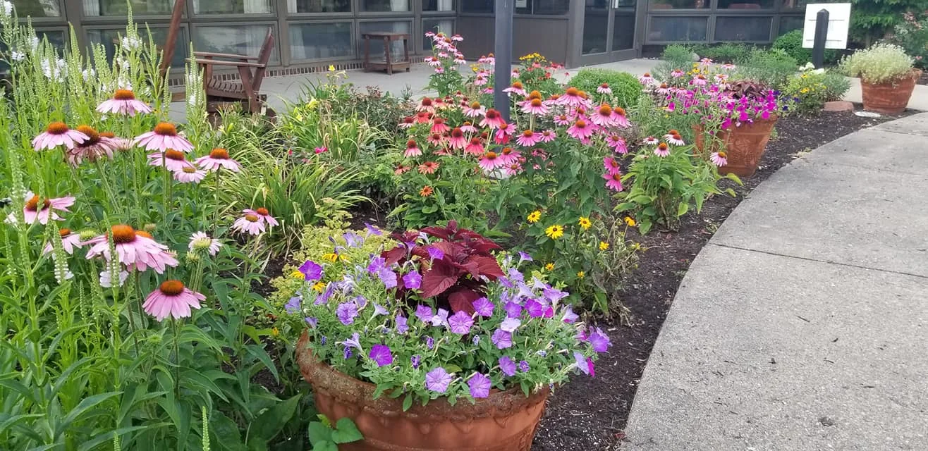 PLEASANT MEADOWS SENIOR LIVING