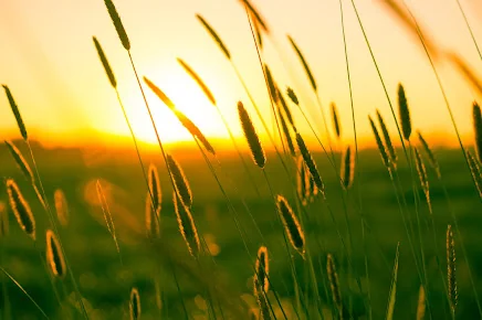 PRAIRIE SUNSET HOME INC