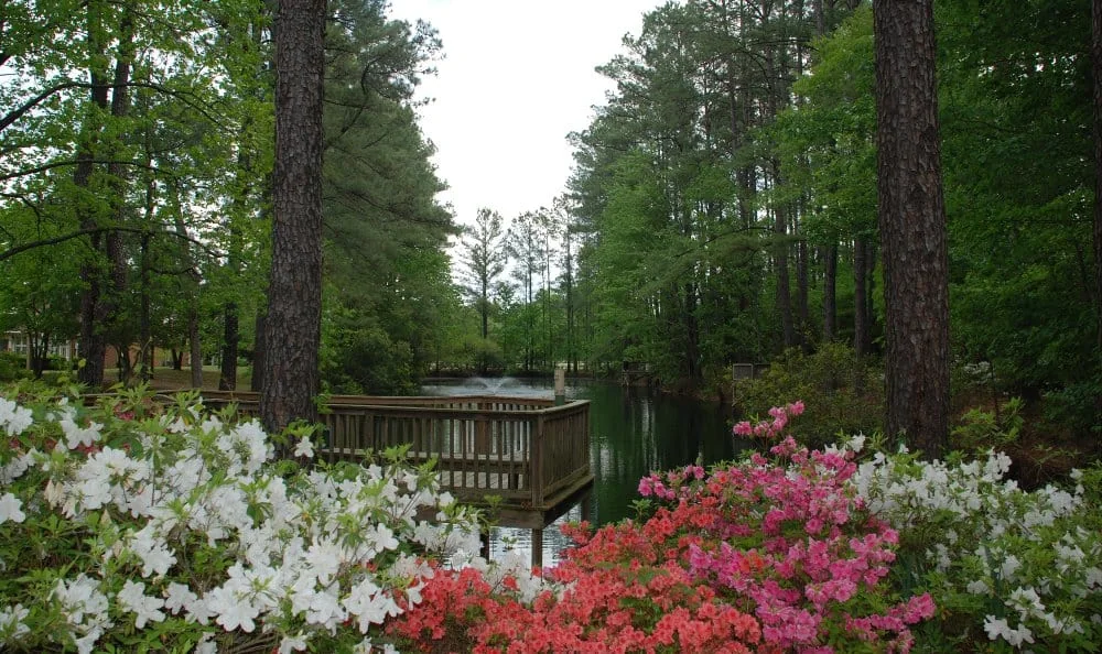PRESBYTERIAN COMMUNITIES OF SOUTH CAROLINA-FLORENC