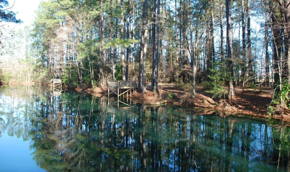 PRESBYTERIAN COMMUNITIES OF SOUTH CAROLINA-FLORENC